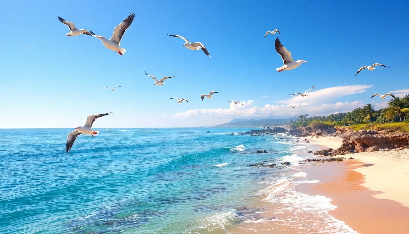 Aves marinas en las costas de El Salvador