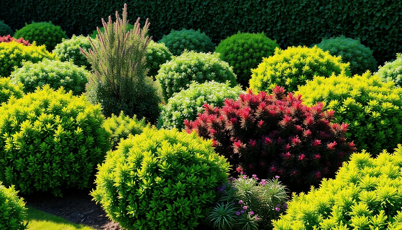 Diversos arbustos en un jardín bien cuidado