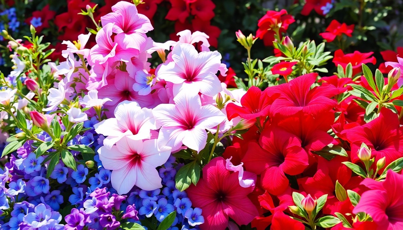 jardin con combinacion de colores