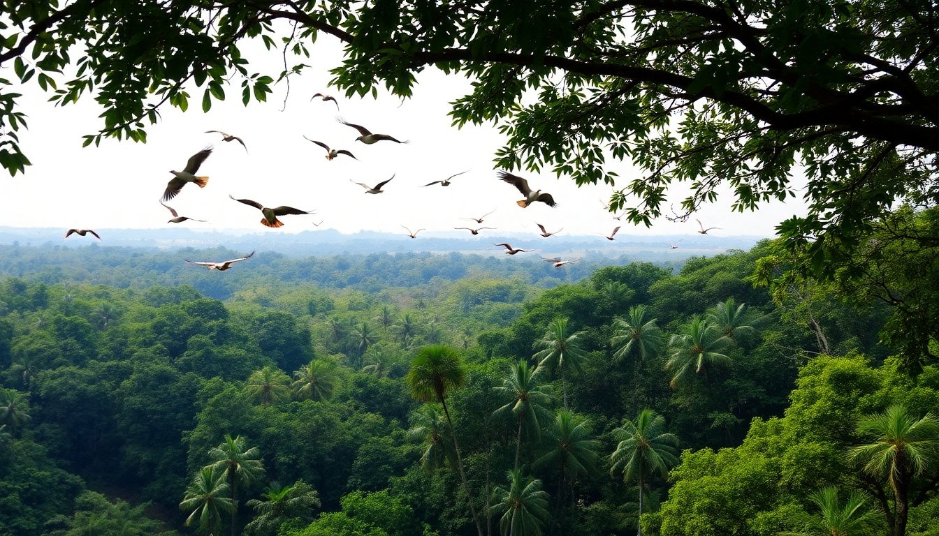 Reserva natural en Haití con aves volando