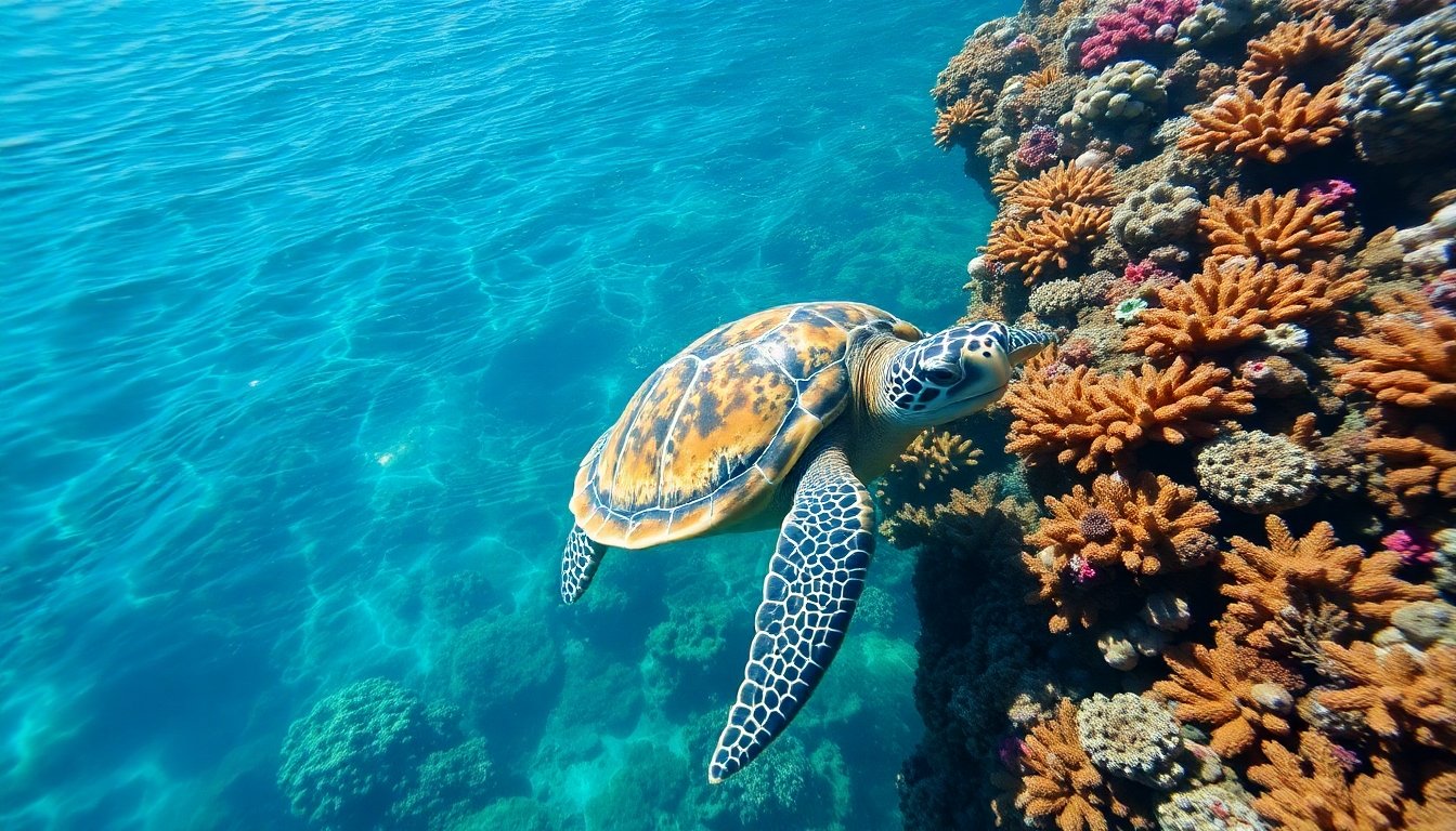 tortuga caña en su hábitat natural