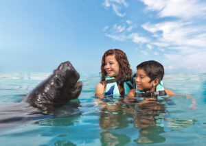 7 Actividades imperdibles con niños en isla mujeres 1