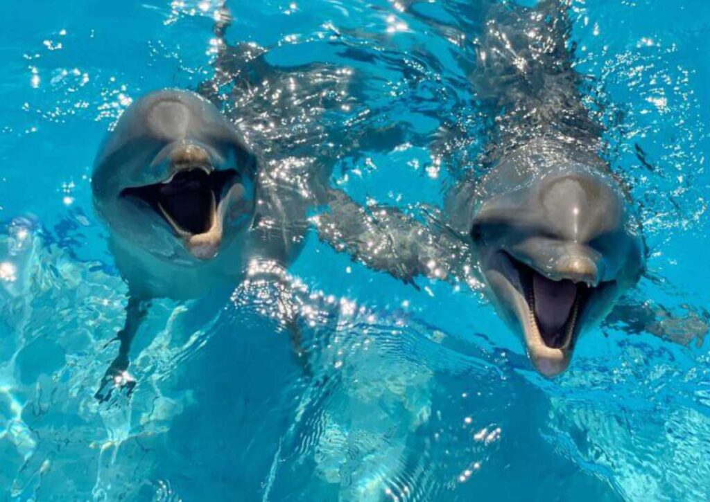 7 Actividades imperdibles con niños en isla mujeres 2