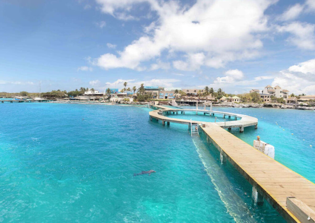 7 Actividades imperdibles con niños en isla mujeres 3